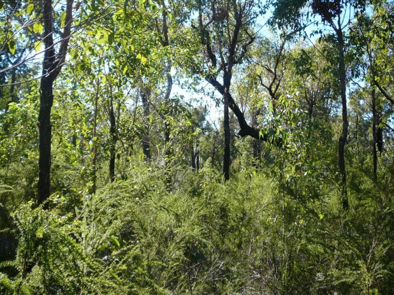 815 Stoney Creek Road, Porongurup WA 6324