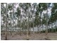 Lot A, 98 Beaudon Road, Mckail WA 6330