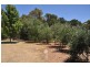 1817 Lower Denmark Road, Torbay WA 6330