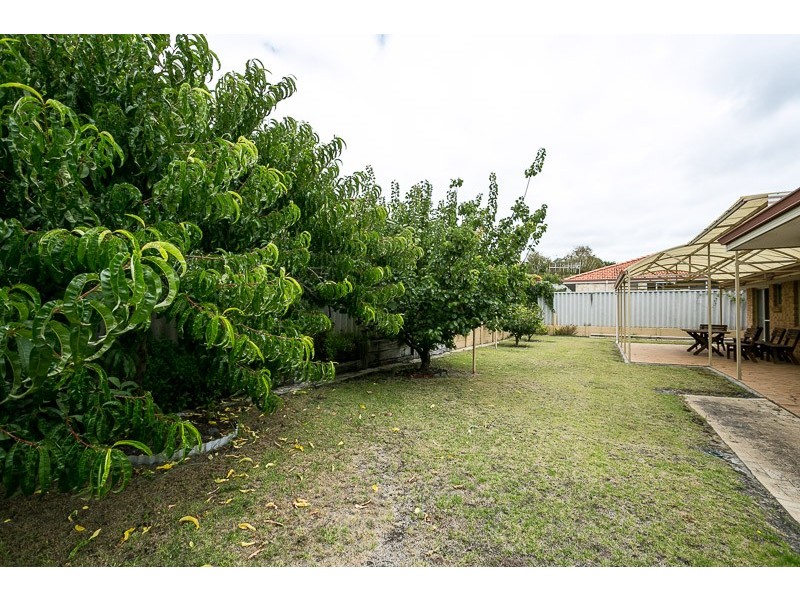 7 Pigot Place, Spencer Park WA 6330