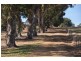 1172 Nanarup Road, Nanarup WA 6330