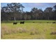 Lot 5837 Churchlane Road, Kalgan WA 6330