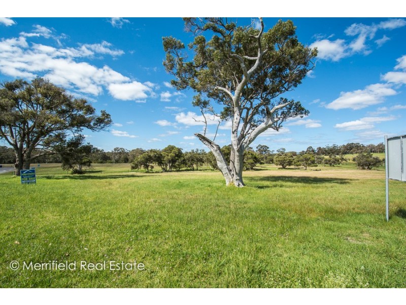Lot 44, 46 Bilaboya Place, Willyung WA 6330