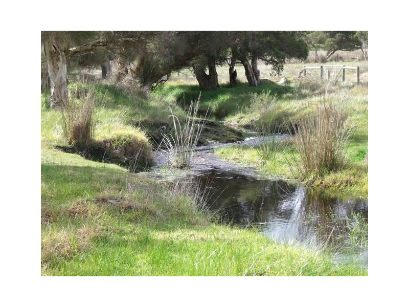 Lot 44, 46 Bilaboya Place, Willyung WA 6330