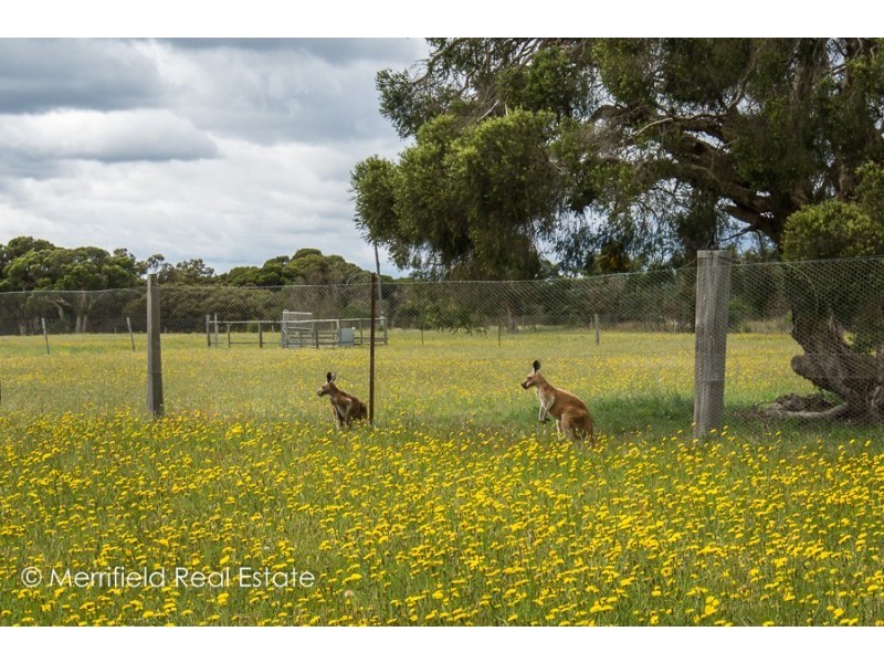 247 Siding Road, Redmond WA 6327