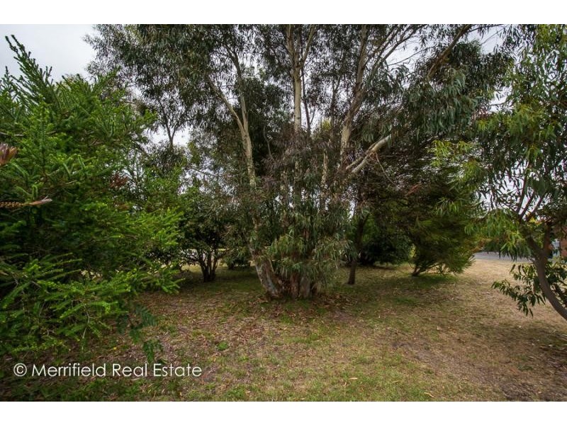 87 Rufus Street, Milpara WA 6330