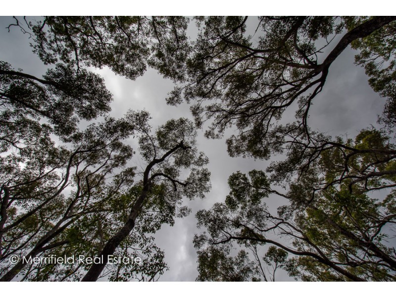 366 Spring Road, Porongurup WA 6324