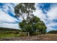 86 Andrews Road, Kalgan WA 6330