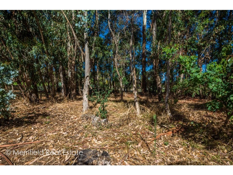 58 Regent Street, Gledhow WA 6330