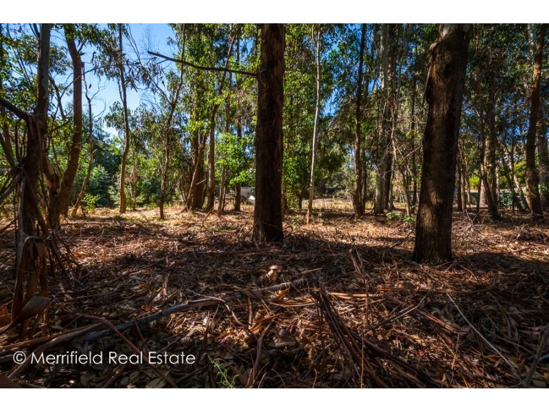 58 Regent Street, Gledhow WA 6330