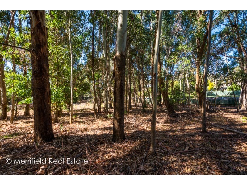 58 Regent Street, Gledhow WA 6330