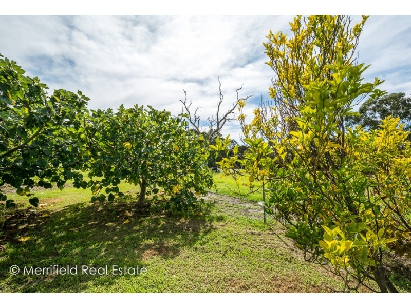 35 Awhina Court, Millbrook WA 6330