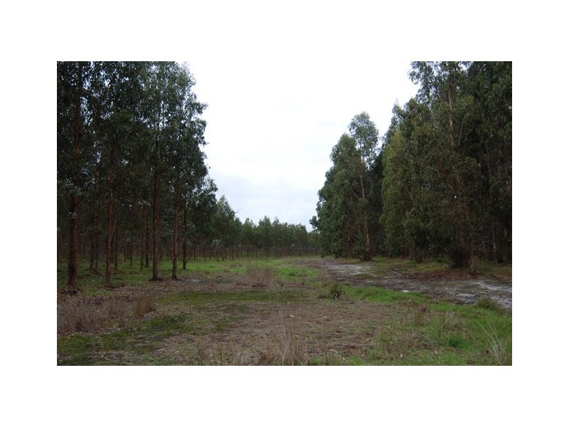 Lot 23 Morande Road, Narrikup WA 6326