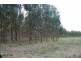 Lot 23 Morande Road, Narrikup WA 6326