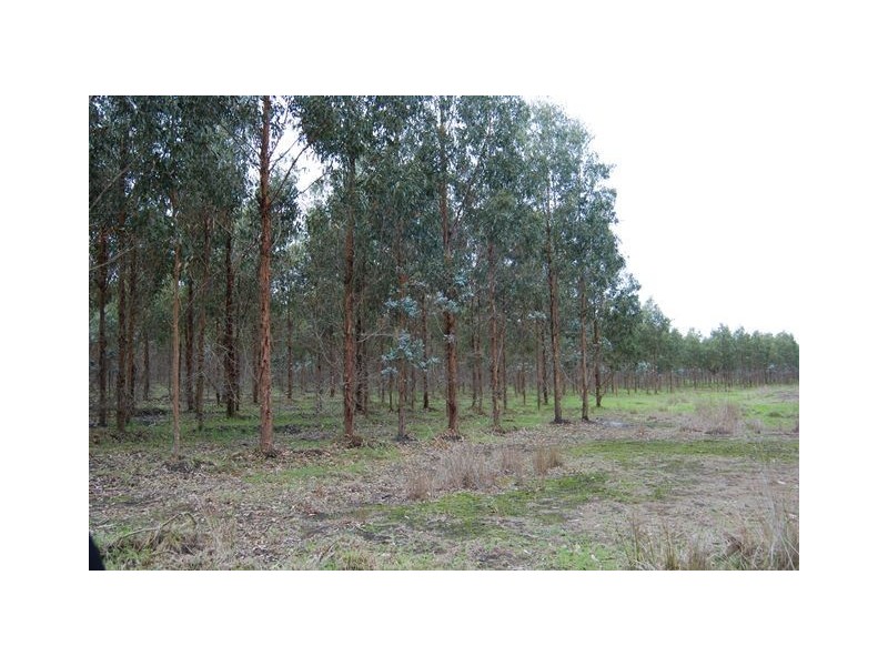 Lot 23 Morande Road, Narrikup WA 6326