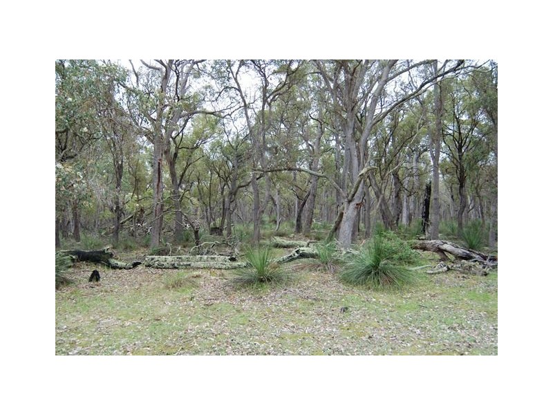 Lot 23 Morande Road, Narrikup WA 6326