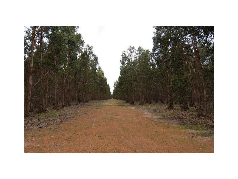 Lot 23 Morande Road, Narrikup WA 6326