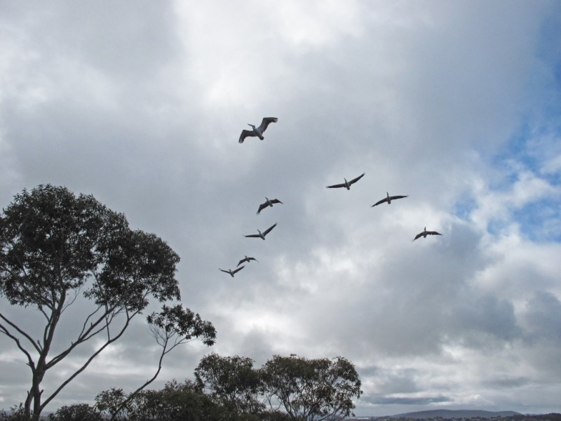 308 Serpentine Road, Mount Melville WA 6330