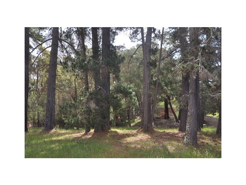 Lot 10,  Myola Drive, Kalgan WA 6330