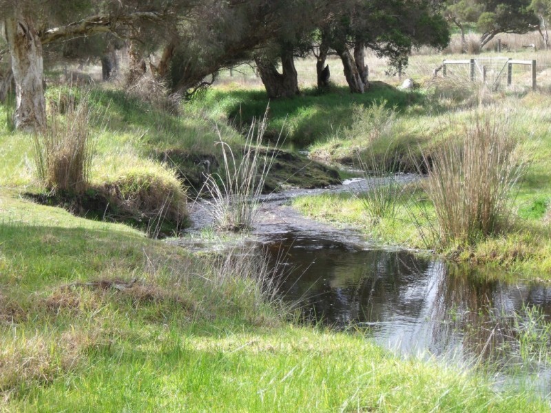 Lot 42 Bilaboya Place, Willyung WA 6330