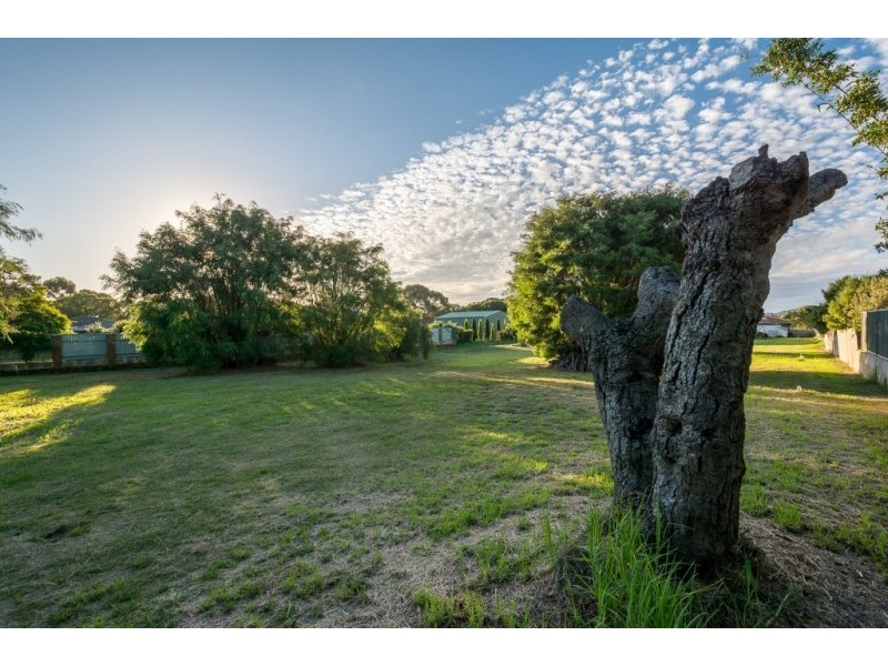 43 Gordon Street, Little Grove WA 6330