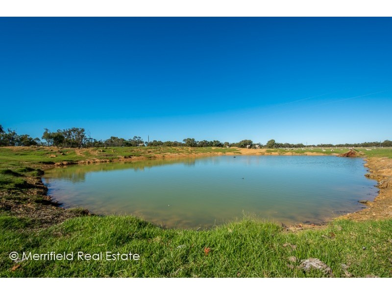 59 Newman Road, Narrikup WA 6326