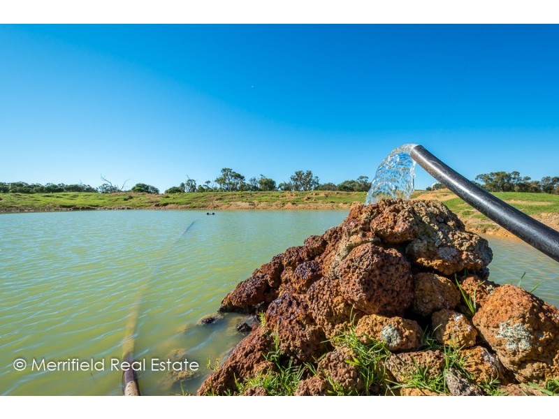 59 Newman Road, Narrikup WA 6326