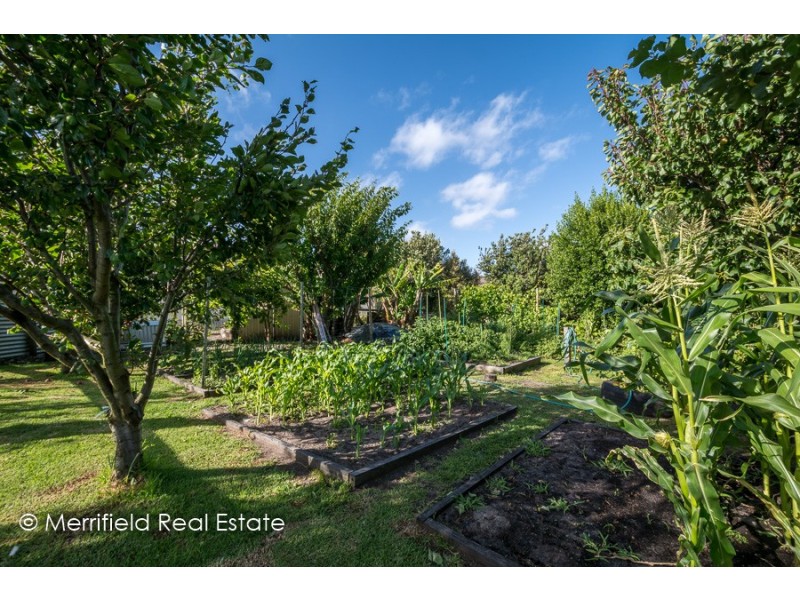 69 Randell Crescent, Warrenup WA 6330
