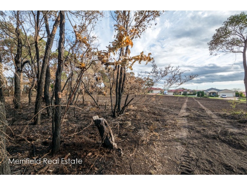 67 Sydney Street, Yakamia WA 6330