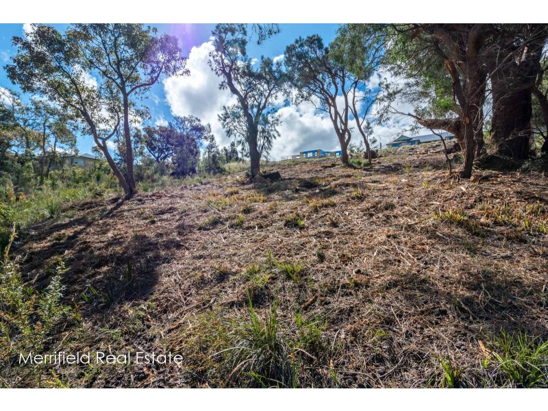 17 Maddison Way, Bayonet Head WA 6330