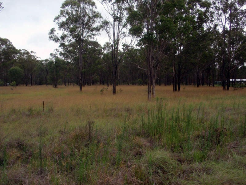 Wattle Camp QLD 4615