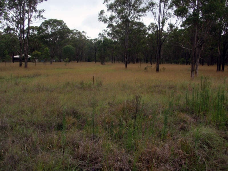 Wattle Camp QLD 4615