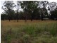 Wattle Camp QLD 4615