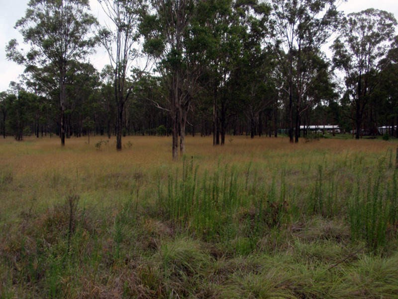 Wattle Camp QLD 4615