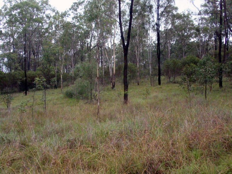 Wattle Camp QLD 4615