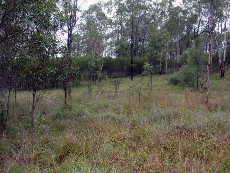 Wattle Camp QLD 4615