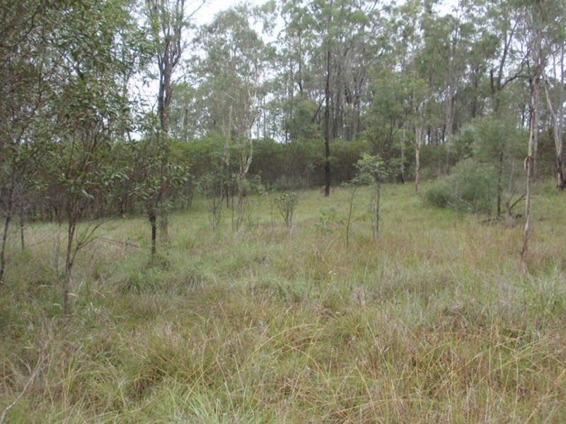Wattle Camp QLD 4615