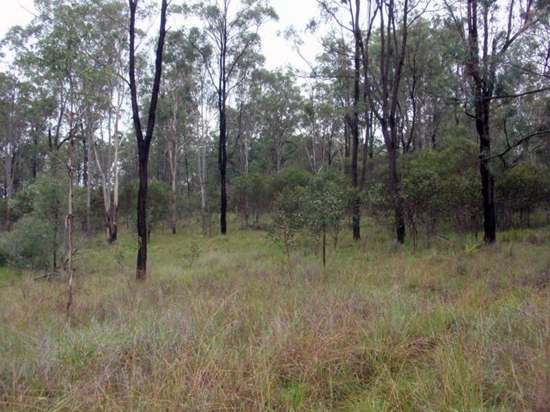 Wattle Camp QLD 4615