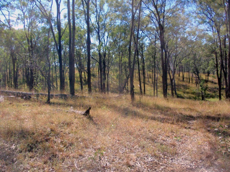 Wilkesdale QLD 4608