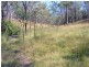 Wilkesdale QLD 4608