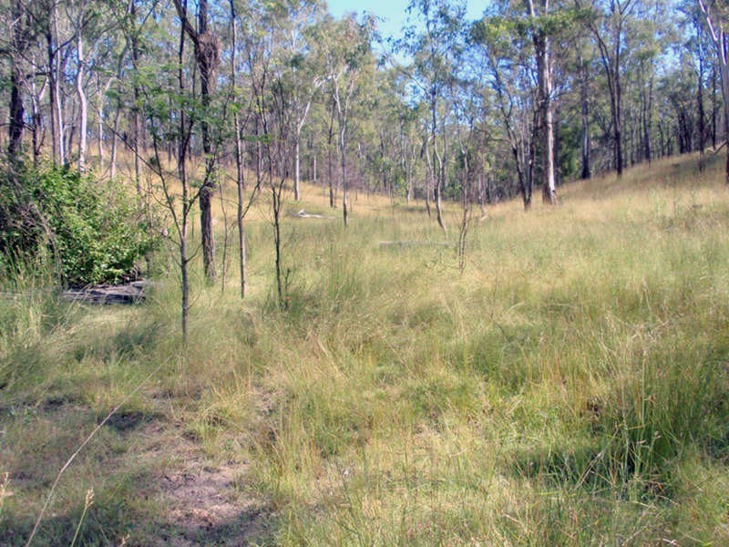 Wilkesdale QLD 4608