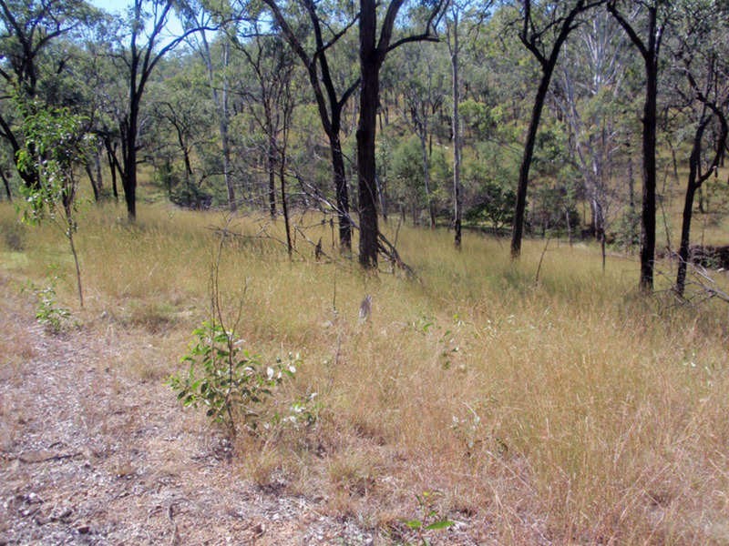 Wilkesdale QLD 4608
