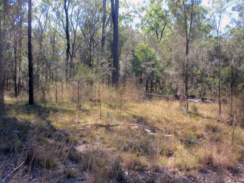 Wilkesdale QLD 4608