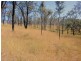 Wilkesdale QLD 4608