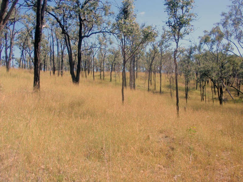 Wilkesdale QLD 4608