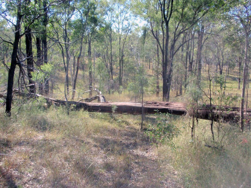 Wilkesdale QLD 4608