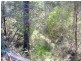 Wilkesdale QLD 4608