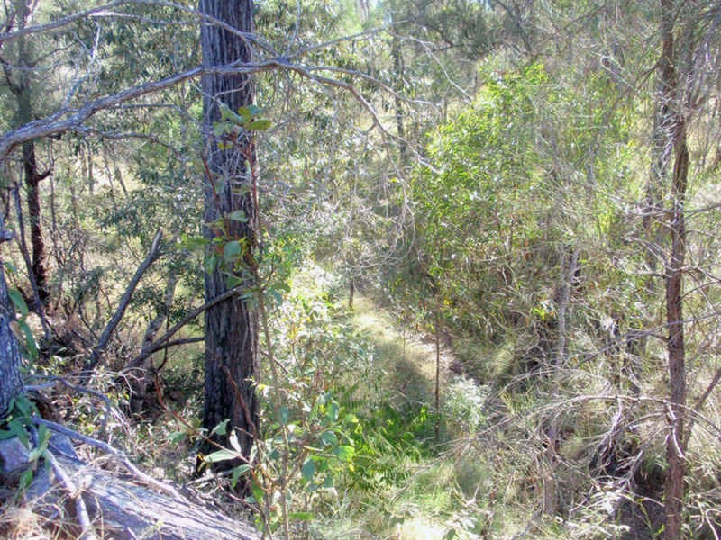 Wilkesdale QLD 4608