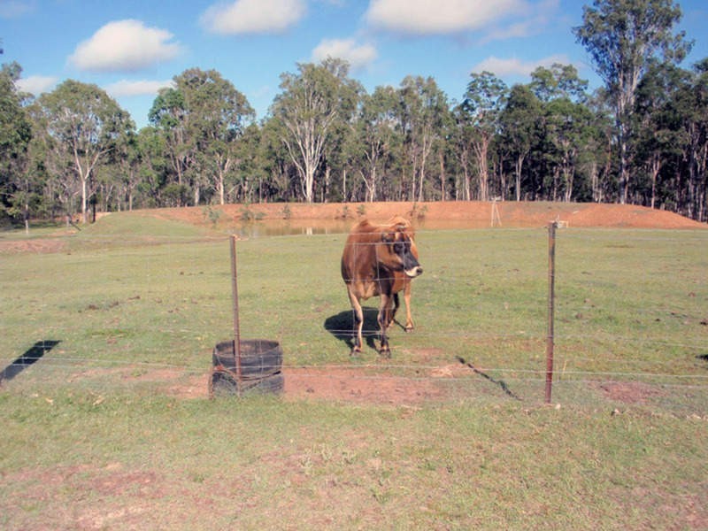 Wattle Camp QLD 4615