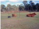 Wattle Camp QLD 4615